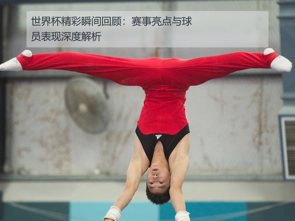 世界杯精彩瞬间回顾：赛事亮点与球员表现深度解析